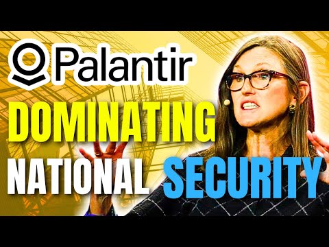 Palantir Stock: The AI Powerhouse DOMINATING National Security!