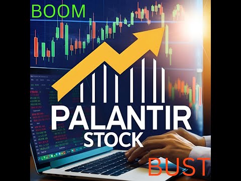 Palantir Stock The Future of AI &amp; Big Data