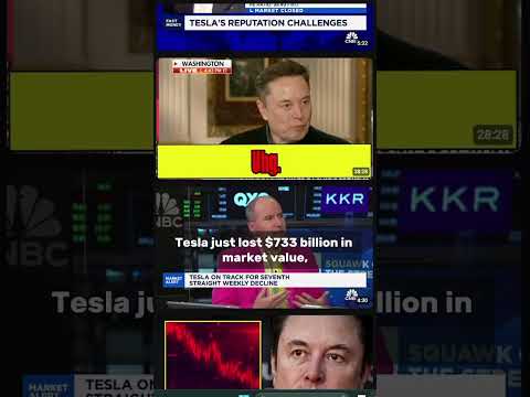 Tesla stock CRASHING! Elon Musk just lost $29 BILLION in ONE DAY as Tesla shares drop 15%