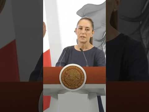 Mexico Rejects Trump&#039;s Offer to Send in US Troops