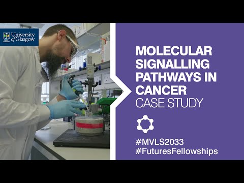 Fundamentals of Life - Research Case Study: Molecular Signalling Pathways in Cancer