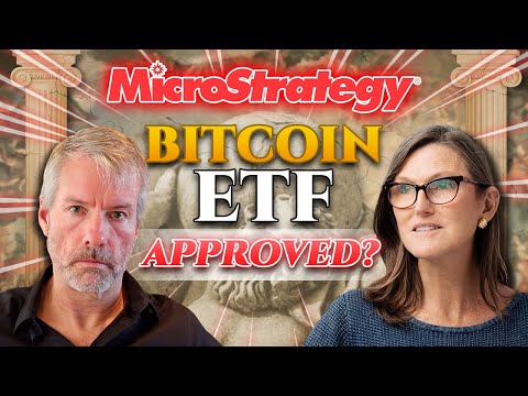Michael Saylor&#039;s (MicroStrategy) Bold Bitcoin Bet: Bitcoin ETF, The SEC &amp; Future Of Cryptocurrency